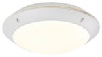 8555 Lentil LED Funkcionális fehér Kültéri mennyezeti lámpa