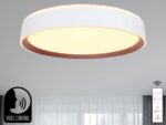 LED lámpa OPAL + távirányító + HANGVEZÉRLÉS 48W - LC902MV