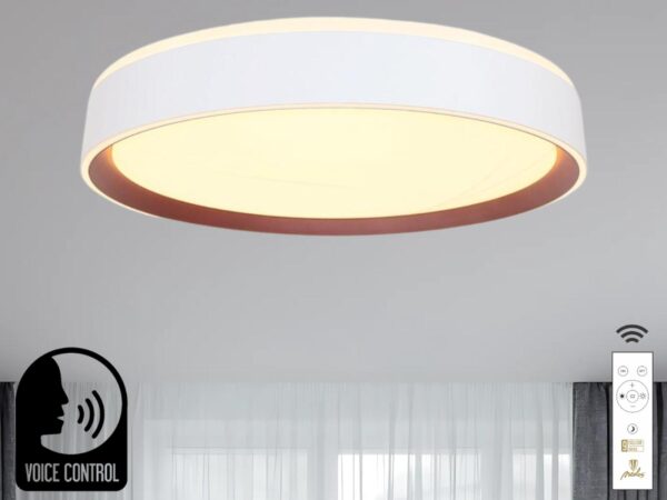 LED lámpa OPAL + távirányító + HANGVEZÉRLÉS 48W - LC902MV