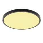 LED mennyezeti lámpa OPAL + távvezérlõ 36W - LCL554B