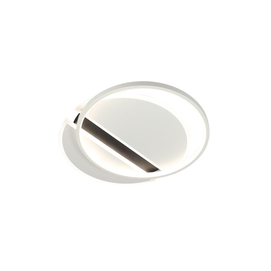 LED mennyezeti lámpa + távvezérlõ 80W - TA1317/WB - Image 2