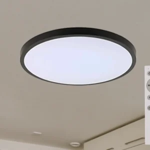 LED mennyezeti lámpa OPAL + távvezérlõ  48W - LCL555B